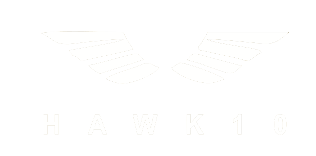 Hawk 10 | Leading Surveillance & Payroll Solutions